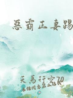 恶霸正妻踢娇妾