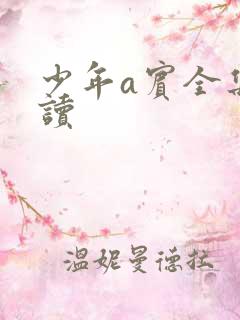 少年a宾全集阅读