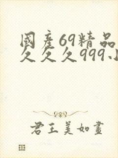 国产69精品久久久久999小说