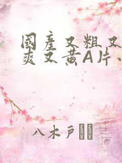 国产又粗又猛又爽又黄A片小说