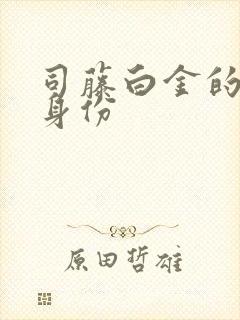 司藤白金的真实身份