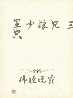 军少狼兄 三两只
