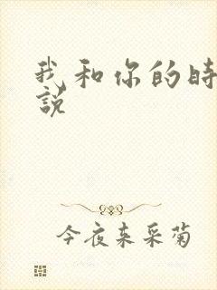 我和你的时光小说
