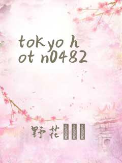 tokyo hot n0482