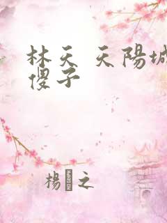 林天 天阳城 傻子