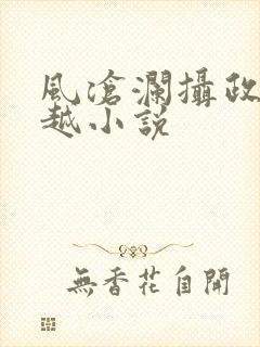 风沧澜摄政王穿越小说