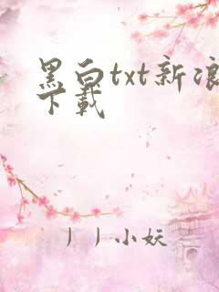 黑白txt新浪下载