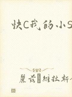 快C我的小SB