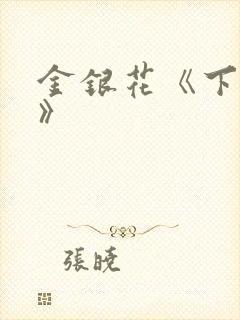 金银花《下厨房》