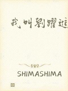 我叫刘跃进下载