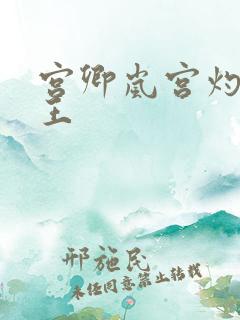 宫卿岚宫灼摄政王