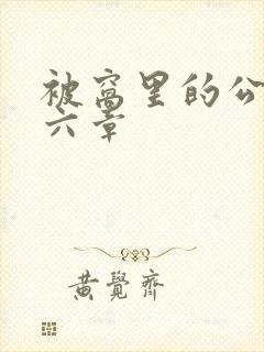 被窝里的公息十六章