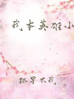 我本英雄小说