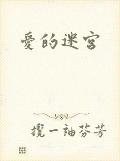爱的迷宫