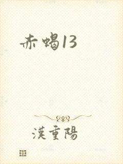 赤蝎13