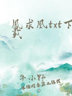 凤求凰txt下载