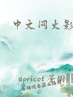 中文网火影忍者