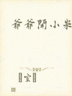 爷爷开小米的包