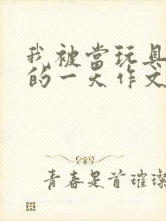 我被当玩具发泄的一天作文