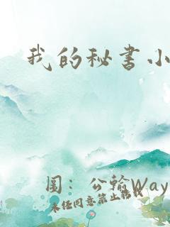 我的秘书小姐