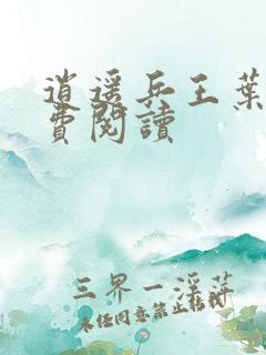 逍遥兵王叶成免费阅读