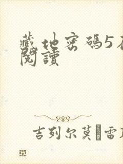 藏地密码5在线阅读