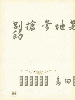 别抢 爹地是我的