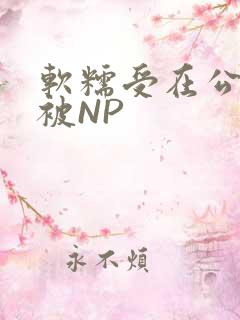 软糯受在公交车被NP