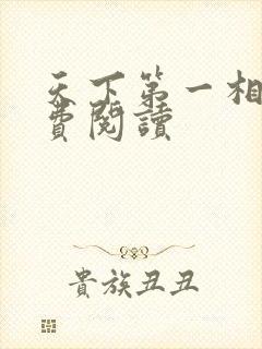 天下第一相书免费阅读