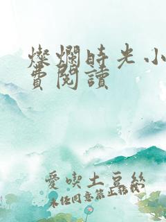 灿烂时光小说免费阅读