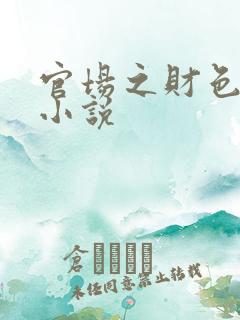 官场之财色诱人小说