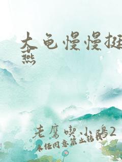 大龟慢慢挺进张燕