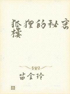 狐狸的秘密19楼