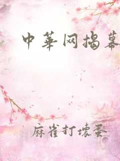 中华网揭幕内参