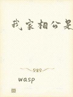 我家相公是情兽