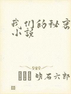 我们的秘密泰剧小说