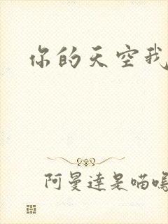 你的天空我的城
