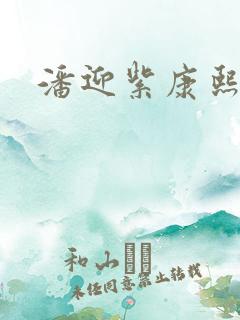 潘迎紫康熙来了