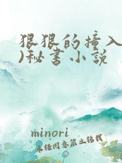 狠狠的撞入(h)秘书小说