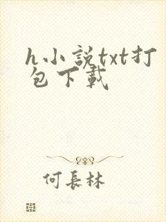 h小说txt打包下载