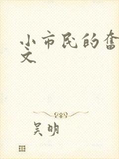 小市民的奋斗燃文