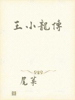 王小龙传