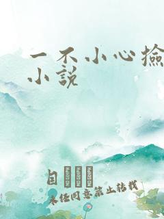 一不小心捡到爱小说