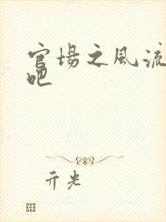 官场之风流人生吧