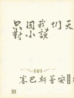 只因我们天生一对小说