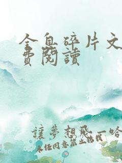 全息碎片文轩免费阅读