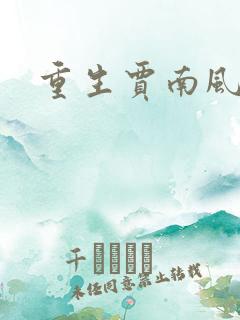 重生贾南风