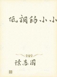 低调的小小宫女