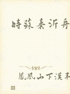 时苏秦沂舟小说