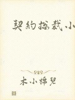 契约总裁小萌宝